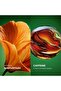 Eye Cream - Brightening Effect - Radiating Antioxidant Botanical Complex Care Glow Energie - 3