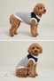 Patikombin Dog Outfit - Dog T-Shirt (Combination for Small Breeds, Medium Breeds, Dogs and Owners) - 4