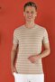 Slim Fit Crew Neck Striped Cotton Beige T-Shirt Ts 851 - 4