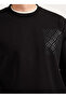Black Men's Crew Neck Standard Fit Sweatshirt Ace052261048_Syh - 5