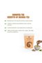 Fuji Ember Reserve Organic Hojicha Tea Powder 50g – Premium Japanese Roasted Green Tea, Stone-Ground, Smooth & Aromatic - 5