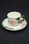 Wild-Rose Hand Painted Cup and Saucer