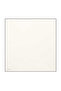Ecru Solid Color Sura Silk Scarf