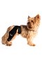 Dog Knee Brace Right Rear Leg Cruciate Ligament Support