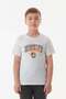 Brooklyn Summer Printed Boys' T-Shirt - 4
