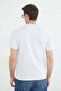 Basic Crew Neck T-Shirt - 8