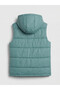 Two Mt Shop Quality Lcw Kids Green Plain Boys Inflatable Vest - 3