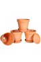 S 3 Inches Small Terracotta Pots with Saucer, 4 Pack 3" Clay Pots and Saucers with 3pcs Mini Flower. - 3