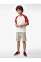 Striped Navy Blue Boy's Shorts 6Skb40110Tk - 2