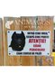 Placa Avertizare Caine Cane Corso - Intra! - 2