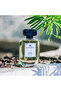 Jasmine and Honey Eau de Parfum - 100 ml - 5