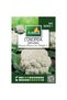 Seminte de conopida Amia Snowball, 1 g