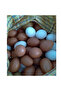 30 Pieces of Plastic Chicken Egg Toys, Painting Eggs in the Net, Paintable Eggs - 4