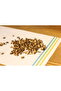 Dandelion Root 50 Gr by Haven Herbs |   Collected from Nature |   100% Natural & Drug-Free |   Limited Edition - 2