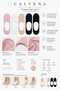 Women's 5-Pack Pink, Black, White, Beige, Dark Navy Blue Bamboo Ballerina Socks - 2