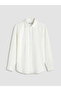 Regular Fit 100% Linen Men's Shirt - 4