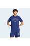 M COLLEGIATE T
