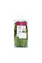 Chrome 24 pcs Balloon Set, Olive Green, P23C21 - 6