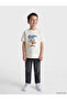 Lcw Kids Beige Crew Neck Printed Boys T-Shirt - 2