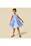 Round Neck Sleeveless Dress with Ruffle Detail - 2