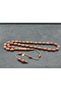 Not Anywhere Else!!! Şevket Alkan Masterpiece Natural Abuze Tree Certified 10029