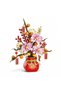 Set de Constructie, 7 ani, Plastic, DANEX, Multicolor