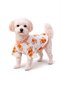 White Winnie the Pooh Patterned Dog T-Shirt Summer Dog Outfit - 2