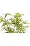 Bamboo 180cm (6 ft) Tall Artificial Tree with Pot | Floor Plant with Lifelike Design & Texture - Green - 8