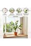 Artificial Bridal Veil Jasmine Plant In Pot H60cm - White - 5