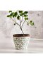 Alban Ceramic Planter 28.5x28.5x24cm - Green