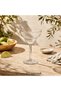 Glass-Look Unbreakable Margarita Glass 350 ml Polycarbonate Presentation and Cocktail Glass - 2
