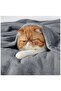 1 Microfiber Warm Blanket Sofa Bed Soft Lightweight Plush Grey 200Cm - 5