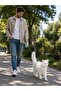 Automatic Pet Walking Leash