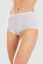 Women's Classic Cut Cotton Plain Bato Colored Panties 3 Pack 8404 Colored - 5