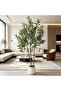 122 cm Artificial Olive Tree Double Trunk – Lifelike & Maintenance-Free with White Planter, Suitable for Living Room & Office - 2