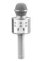 Wireless Bluetooth Karaoke Microphone,Rechargeable Kids Microphone Karaoke Machine - Best Gifts for Kids Adults (Silver)