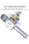 2 Pack Wireless Bluetooth Karaoke Microphone for Kids – Portable Handheld Mic Speaker Machine in Silver, Perfect Gift for All Ages - 3