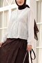 Buttoned Front V-Neck Laced Embroidered Transparent Blouse -Beige