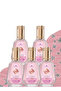 5 قطع عطر إيلارا 50 مل