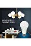 LED Light Bulb Pack of 4, E27 Base, 15W, 6500K - 3