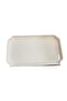26.2X15X2 cm Porcelain Rectangular Presentation Plate |   Stylish Serving and Breakfast Presentation Plate