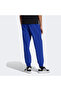 M Z.N.E. Pt Men's Casual Sweatpants Ka0701 Blue - 3