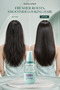 Tea Tree Oil & Amino Acid Clarifying Balancing Hair Serum 100ml – Lightweight Scalp Care Serum for Oily Roots, Freshness, Smoothness & Shine - 7