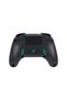 Advantage Nintendo Switch 2 Wireless Controller (Decayed Master Sword) - 4