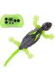 Large Wall Climbing Lizard Robot Toy, Remote Control, LED Eyes, USB Rechargeable, Realistic RC