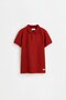 ERKEK ÇOCUK Basic polo yaka tişört
