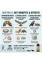 -E Vitamin E Supplement for Breeding Birds & Reptiles 140g | Supports Fertility, Reproductive Health & Physical Condition | Water-Dispersible Powder for Parrots, Pigeons, Tortoises, Iguanas & Ex - 7