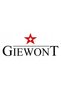 Smartwatch GW450 argintiu - 5