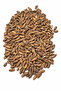 Afghan Pine Nuts with Shell - 2