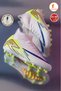 Men's Artificial Turf Football Shoes, Quality Imported Sole, Flexible and Comfortable, Wraps the Foot, Comes with Grass Field Socks